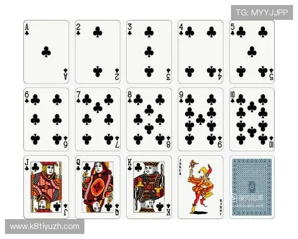 牌九胜负技巧全面解析帮助玩家提升胜率的实用策略指南